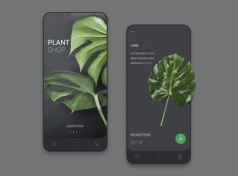 灰色绿植APP