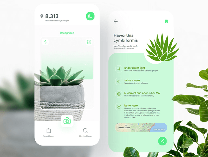 绿白植物APP
