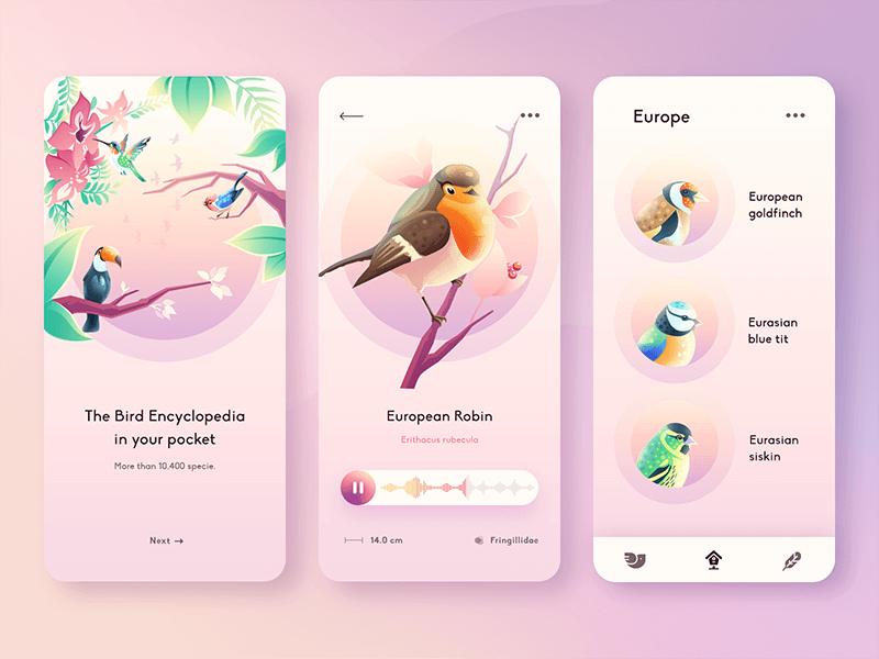插畫鳥類app